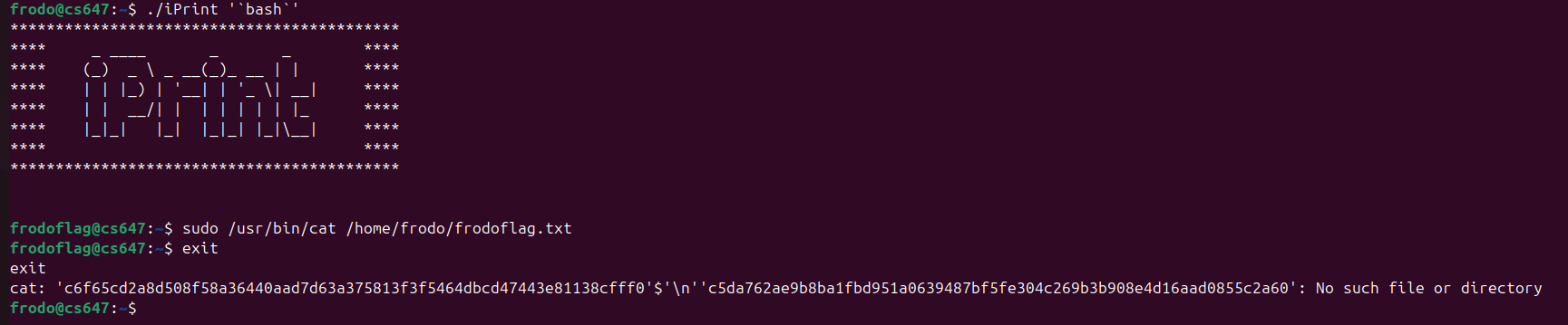 Raw Execution Screenshot