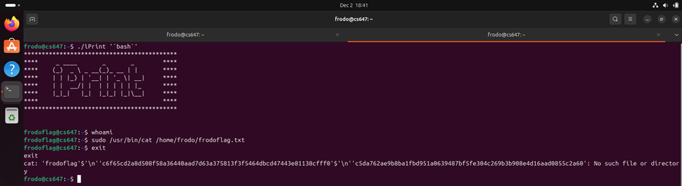 Raw Execution Screenshot