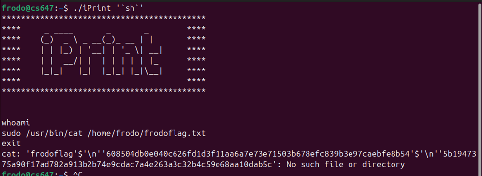 Raw Execution Screenshot