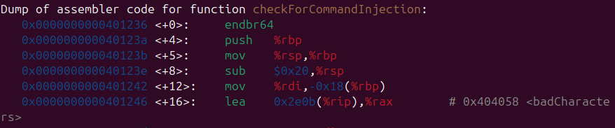 Raw Execution Screenshot