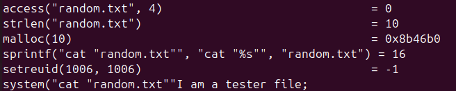 Raw Execution Screenshot