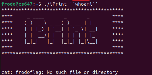 Raw Execution Screenshot