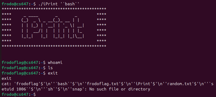 Raw Execution Screenshot