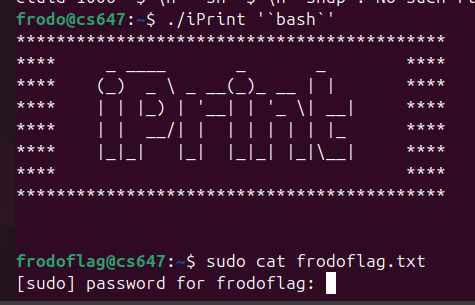 Raw Execution Screenshot