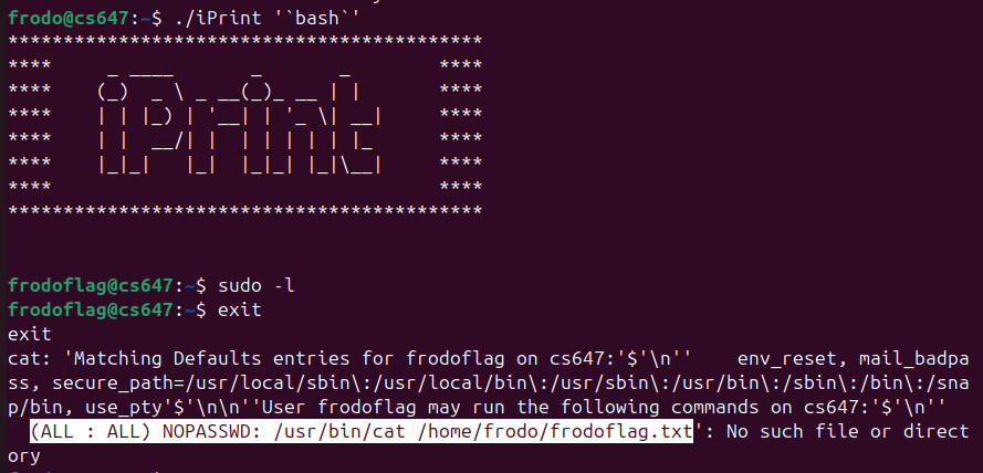 Raw Execution Screenshot