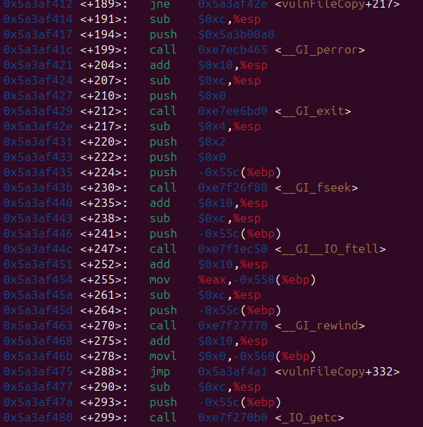 Raw Execution Screenshot