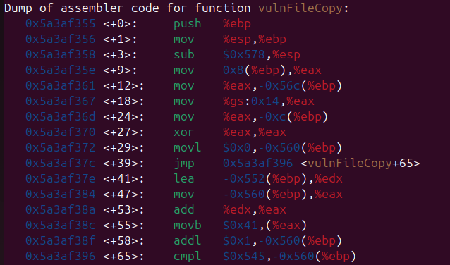 Raw Execution Screenshot