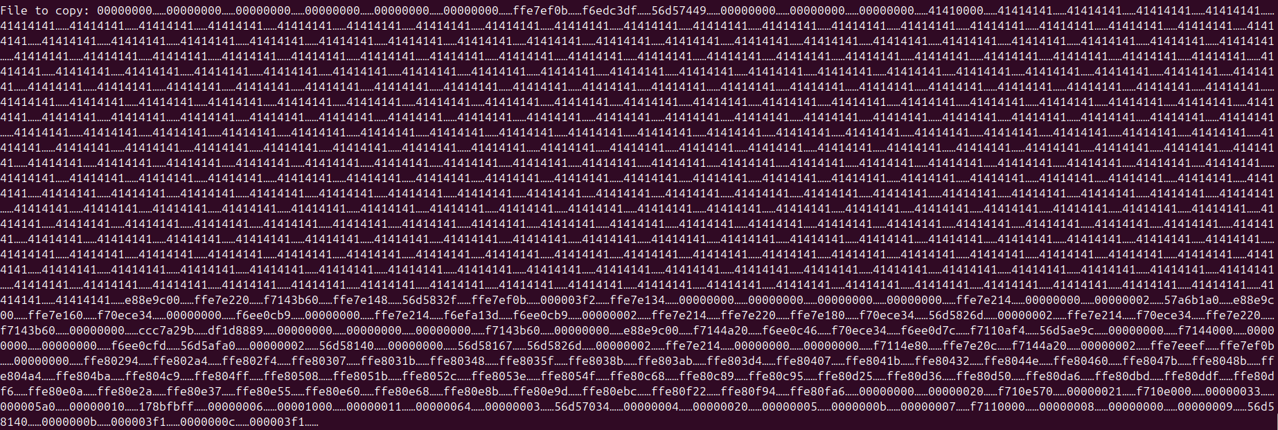 Raw Execution Screenshot