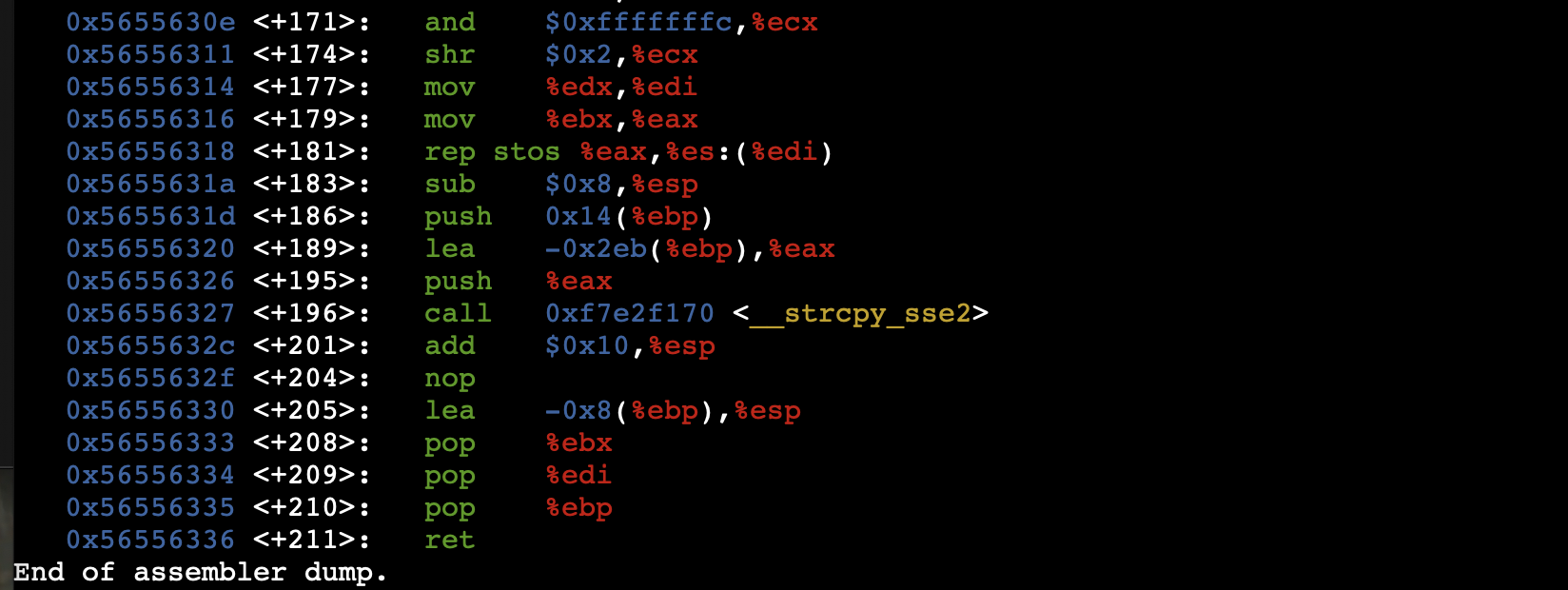 Raw Execution Screenshot