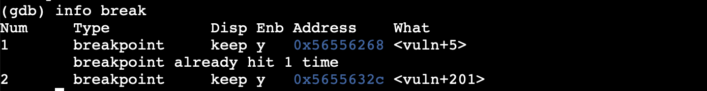 Raw Execution Screenshot