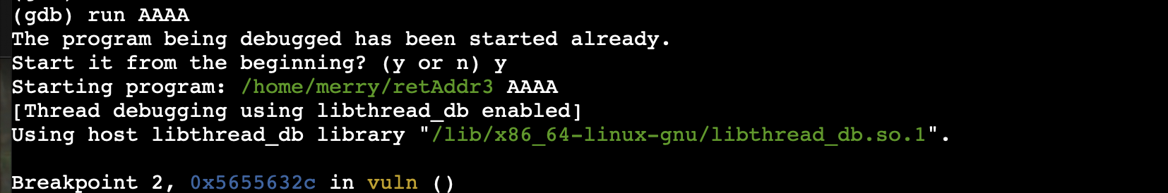 Raw Execution Screenshot