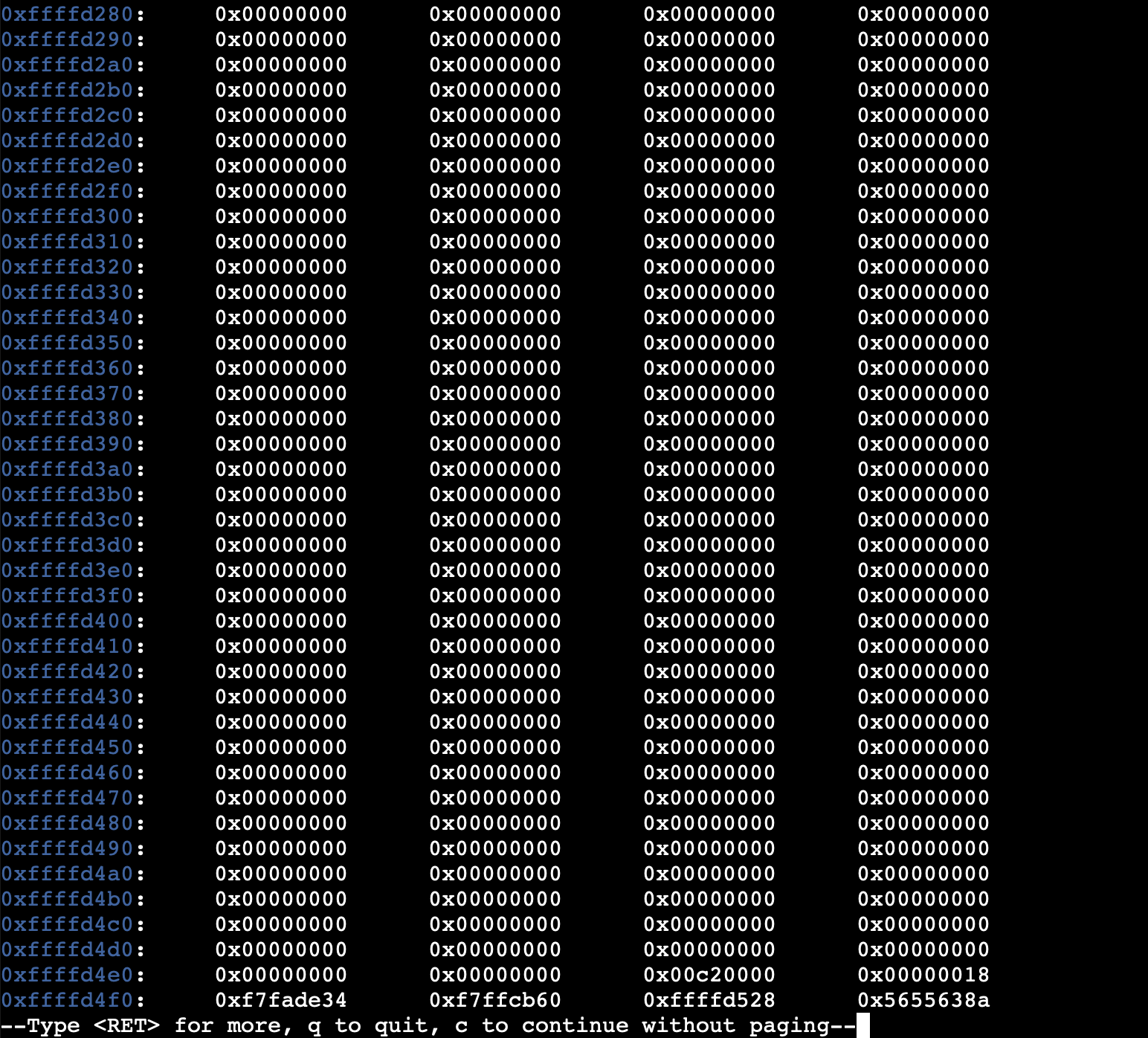 Raw Execution Screenshot