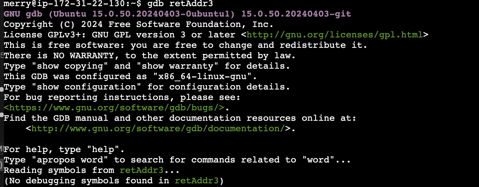 Raw Execution Screenshot