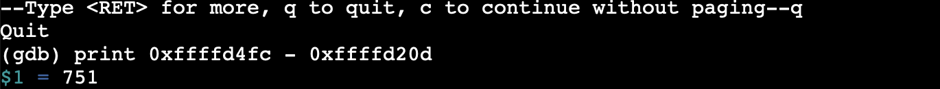 Raw Execution Screenshot