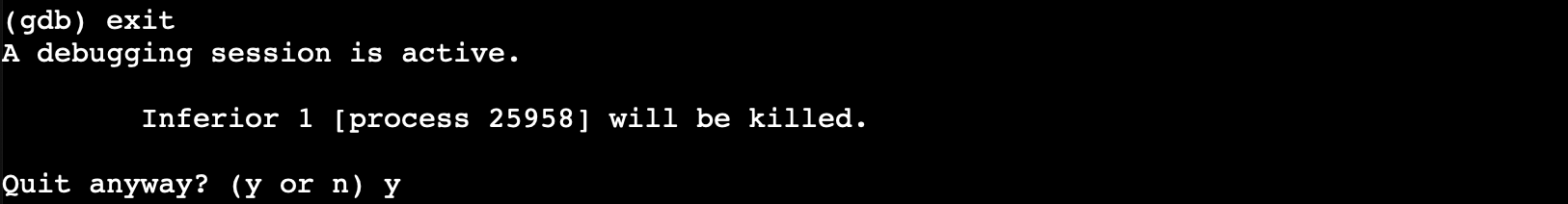 Raw Execution Screenshot