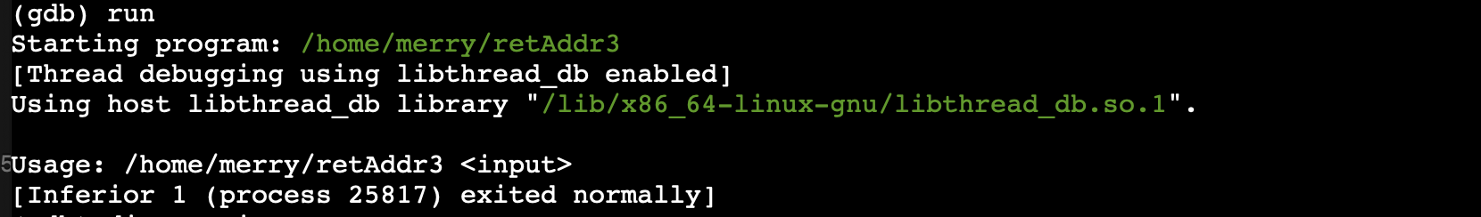 Raw Execution Screenshot