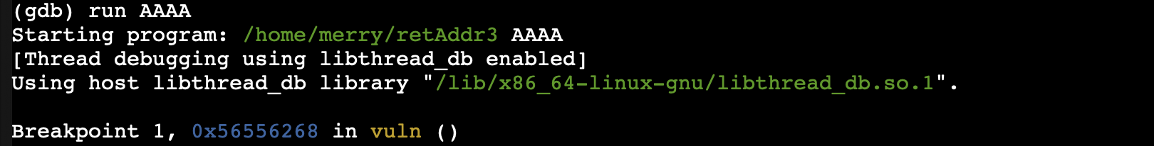 Raw Execution Screenshot