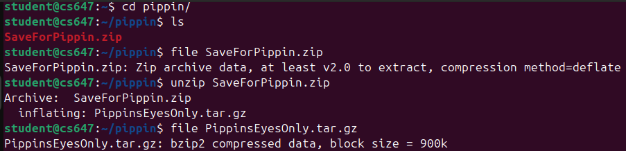 Raw Execution Screenshot