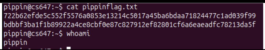 Raw Execution Screenshot
