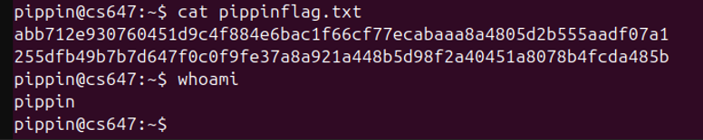 Raw Execution Screenshot