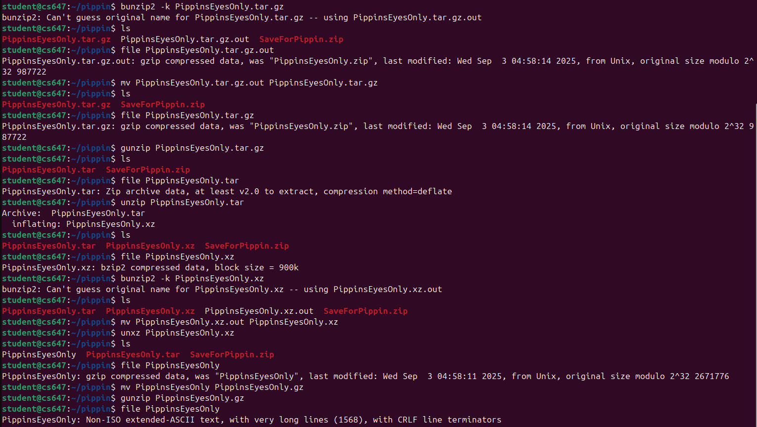 Raw Execution Screenshot