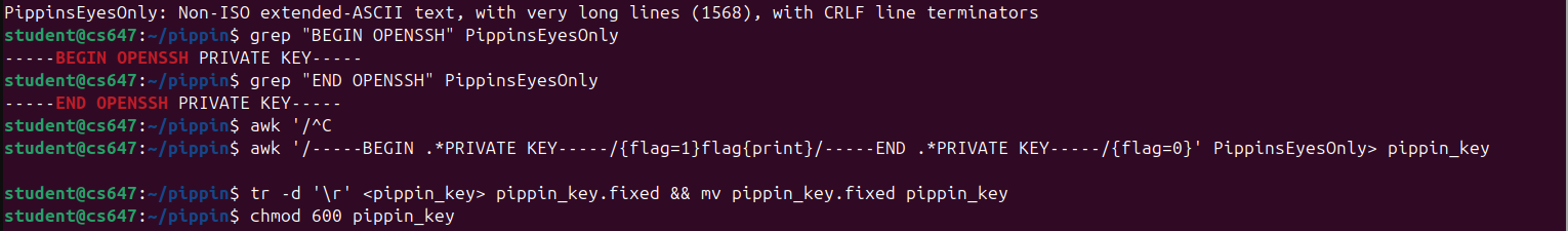 Raw Execution Screenshot