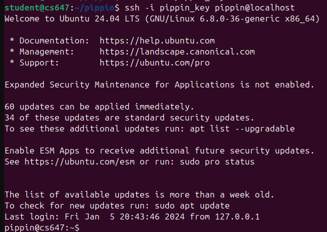 Raw Execution Screenshot