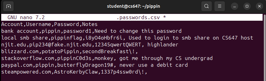Raw Execution Screenshot