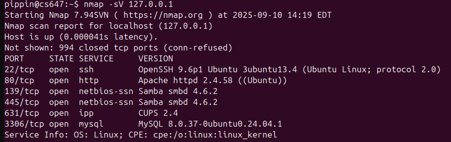 Raw Execution Screenshot