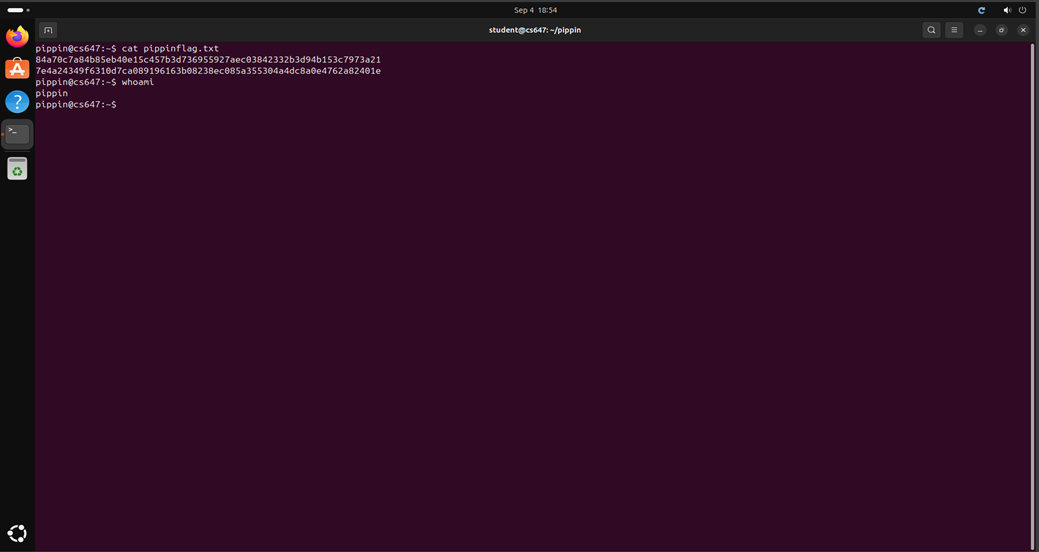 Raw Execution Screenshot