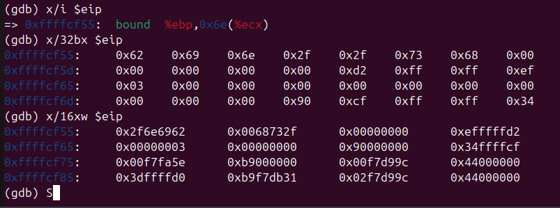 Raw Execution Screenshot