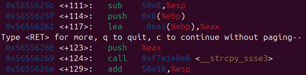 Raw Execution Screenshot